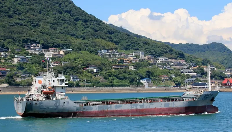 SHENG SHI 569 General Cargo IMO 9314569 photo 2