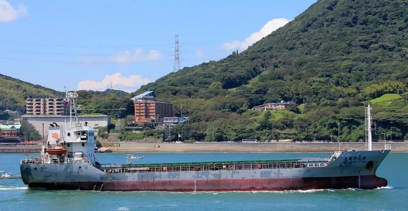 SHENG SHI 569 General Cargo IMO 9314569 photo 3