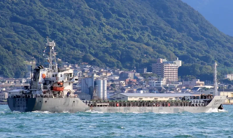 SHENG SHI 569 General Cargo IMO 9314569 photo 8