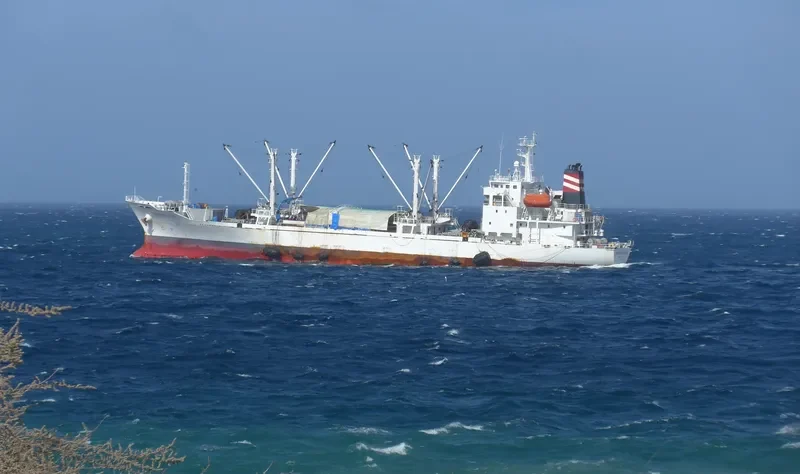 TUNA PRINCESS General Cargo IMO 9314612 photo 3