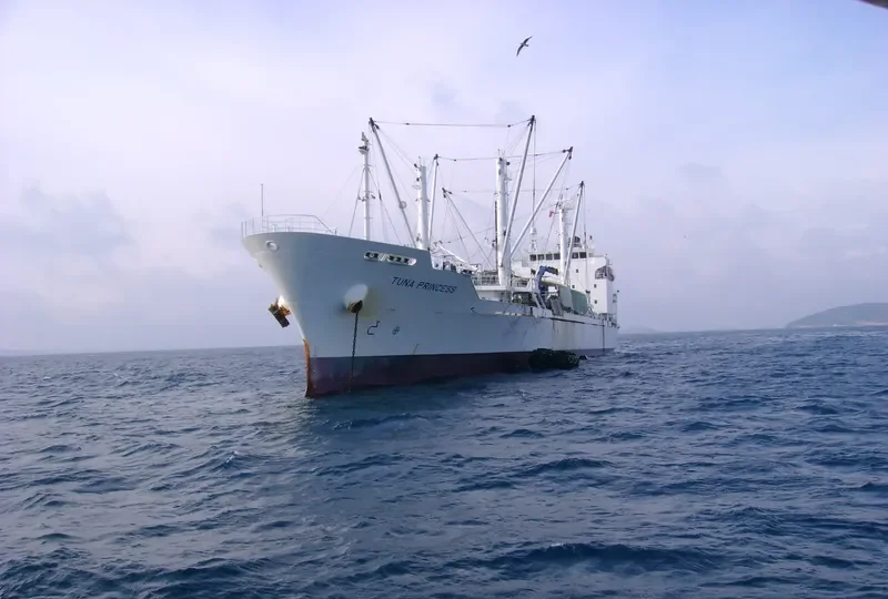 TUNA PRINCESS General Cargo IMO 9314612 photo 10