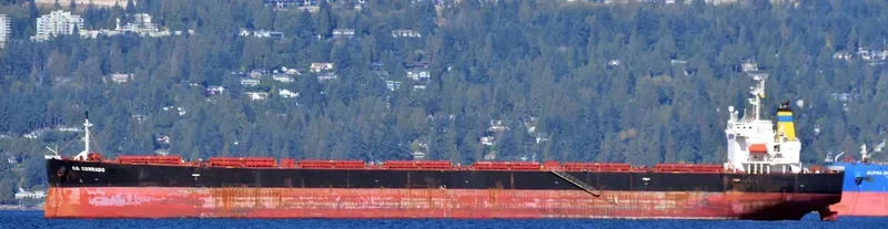G.B.CORRADO Bulk Carrier IMO 9314624 photo 3