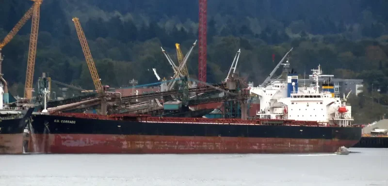 G.B.CORRADO Bulk Carrier IMO 9314624 photo 5