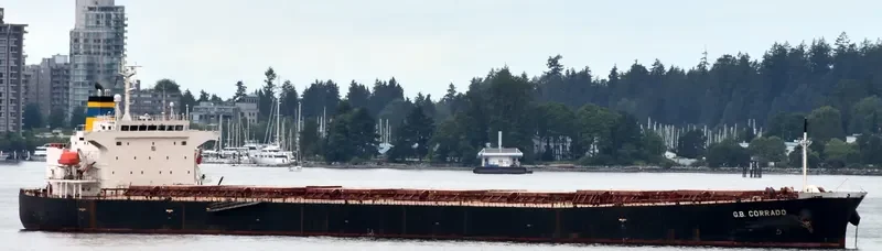 G.B.CORRADO Bulk Carrier IMO 9314624 photo 10