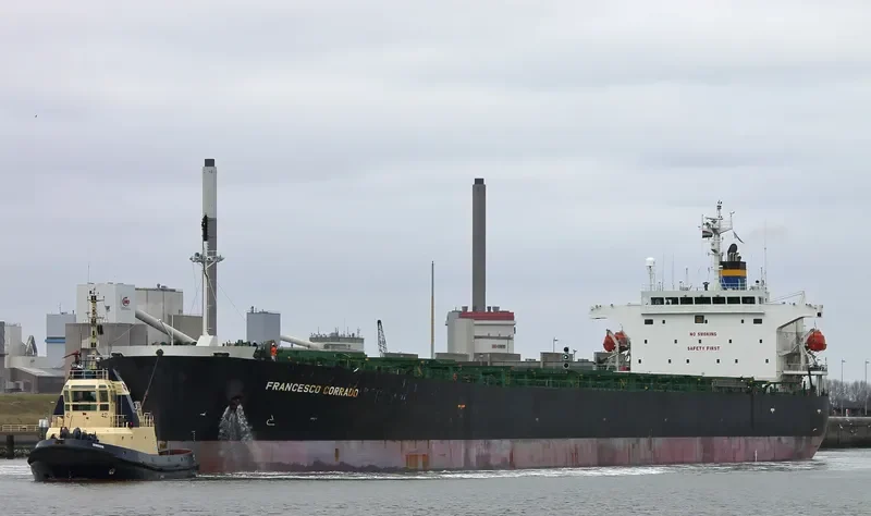 FRANCESCO CORRADO Bulk Carrier IMO 9314636 photo 5