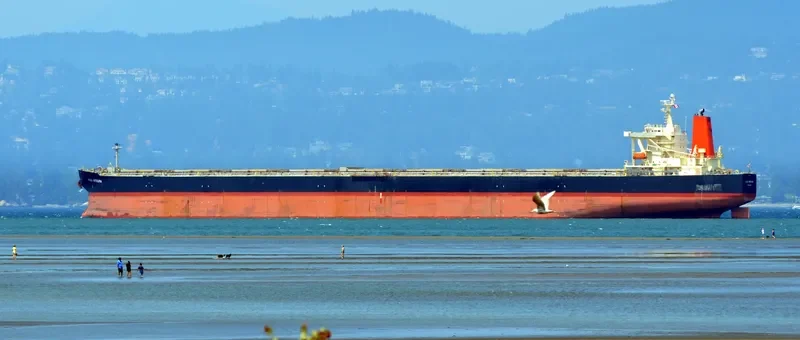 XYMG NOBLE Bulk Carrier IMO 9314674 photo 2