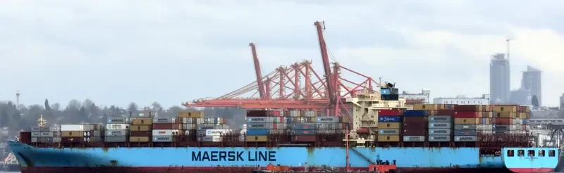 MAERSK SERANGOON Container Ship IMO 9315214