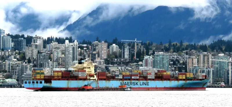 MAERSK SENANG Container Ship IMO 9315240 photo 2