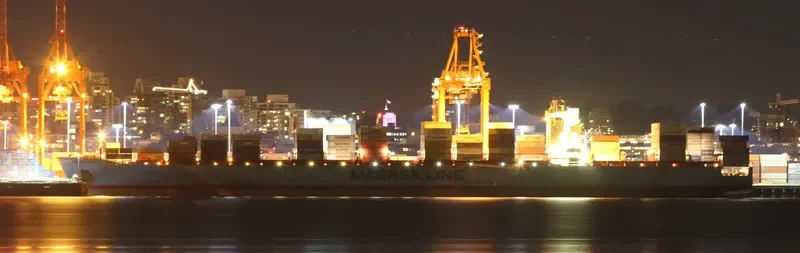 MAERSK SENANG Container Ship IMO 9315240 photo 4