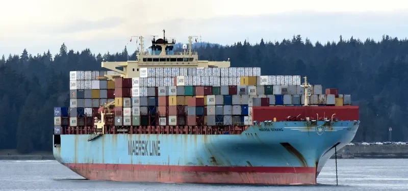 MAERSK SENANG Container Ship IMO 9315240 photo 7