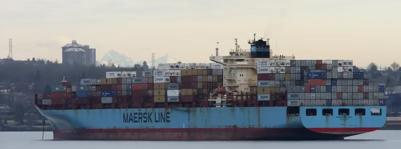 MAERSK SENANG Container Ship IMO 9315240 photo 9