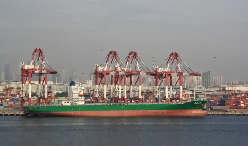 DONG CHENG BI HAI Container Ship IMO 9315343