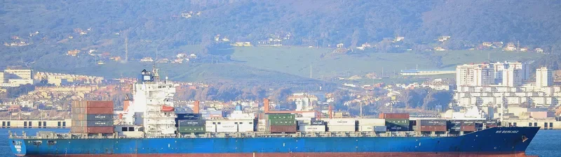 DONG CHENG BI HAI Container Ship IMO 9315343 photo 2
