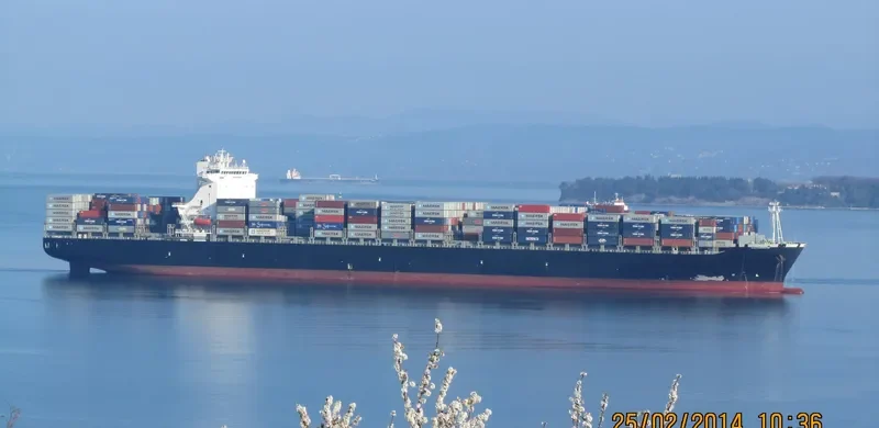 AGAMEMNON Container Ship IMO 9315381 photo 2