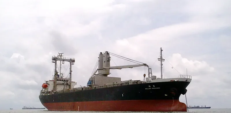 BRILLIANT PESCADORES General Cargo IMO 9315472 photo 2