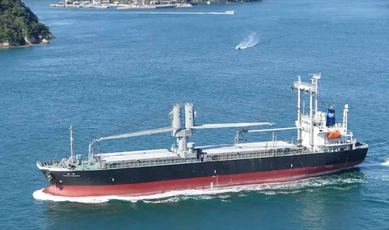 PIONEER IRENE General Cargo IMO 9315484 photo 3