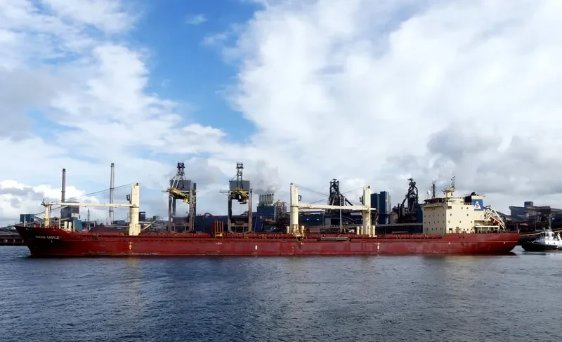 OCEAN CASTLE Bulk Carrier IMO 9315537 photo 3