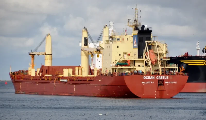 OCEAN CASTLE Bulk Carrier IMO 9315537 photo 4