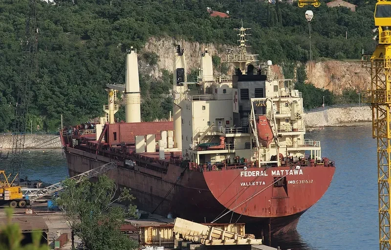 OCEAN CASTLE Bulk Carrier IMO 9315537 photo 5