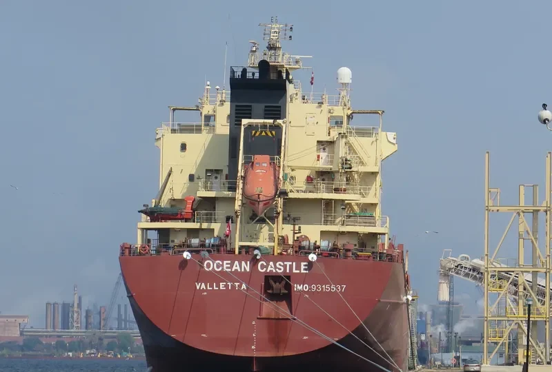 OCEAN CASTLE Bulk Carrier IMO 9315537 photo 6