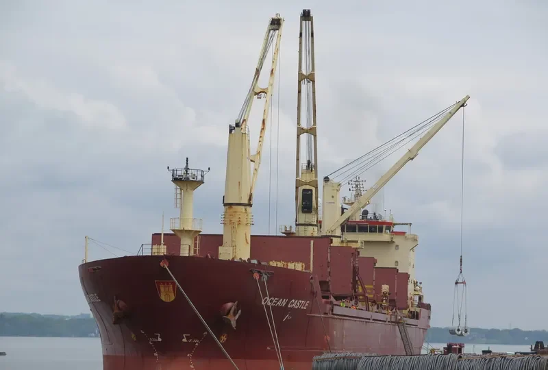OCEAN CASTLE Bulk Carrier IMO 9315537 photo 7