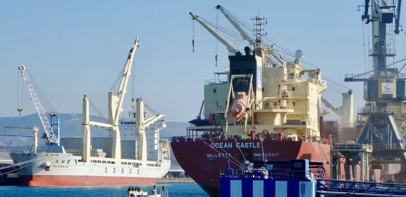 OCEAN CASTLE Bulk Carrier IMO 9315537 photo 10