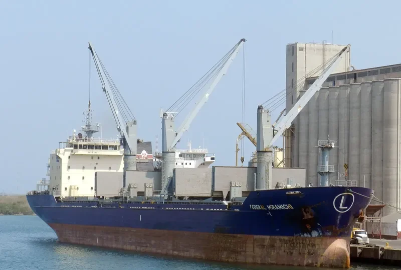 LAKE ST.CLAIR Bulk Carrier IMO 9315549 photo 9