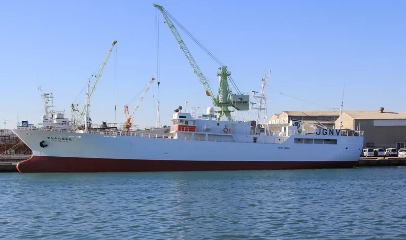 VOSTOK 8 General Cargo IMO 9315587 photo 3