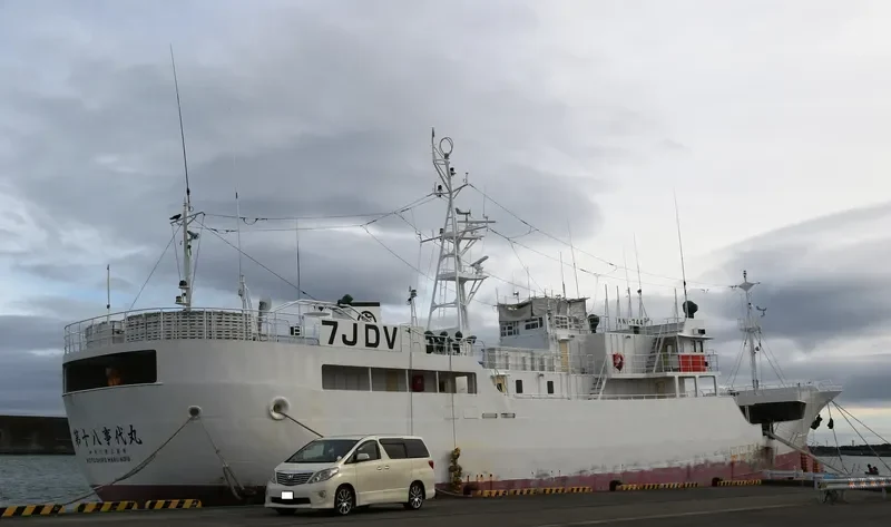 KOTOSHIRO MARU NO.18 General Cargo IMO 9315604 photo 4