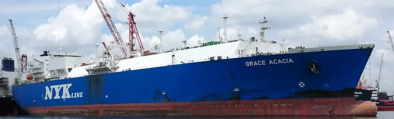 GRACE ACACIA General Cargo IMO 9315707 photo 3