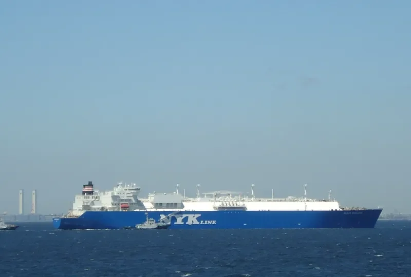 GRACE BARLERIA General Cargo IMO 9315719 photo 6