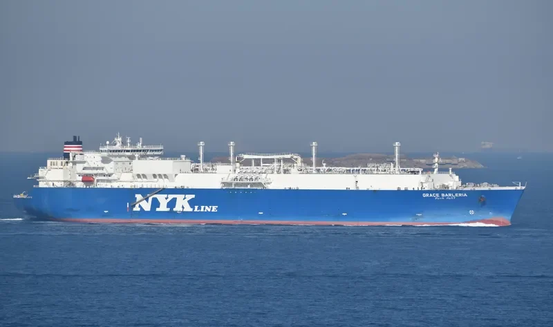 GRACE BARLERIA General Cargo IMO 9315719 photo 9