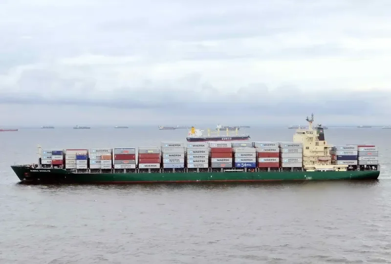 MSC VAIGA III Container Ship IMO 9315836 photo 9