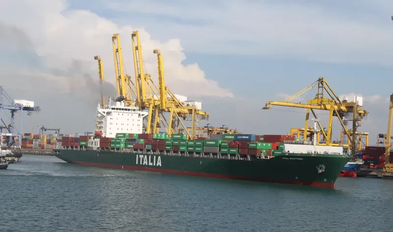 MSC MATTINA Container Ship IMO 9315915