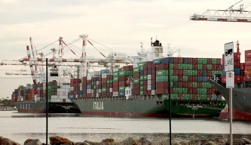 MSC MATTINA Container Ship IMO 9315915 photo 3