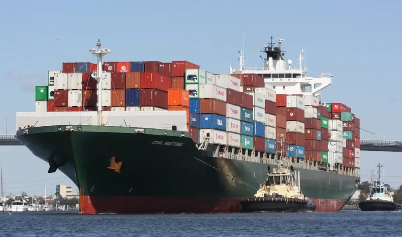 MSC MATTINA Container Ship IMO 9315915 photo 4