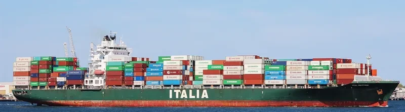 MSC MATTINA Container Ship IMO 9315915 photo 5