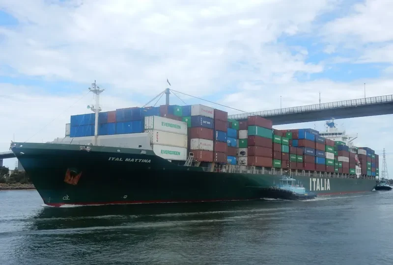 MSC MATTINA Container Ship IMO 9315915 photo 7