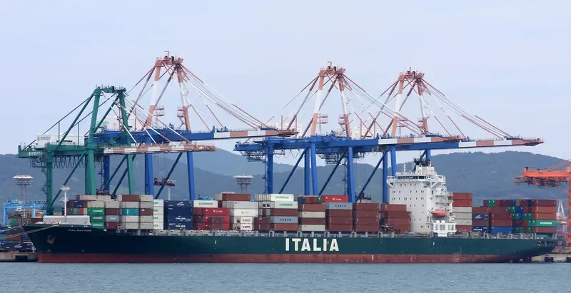 MSC MATTINA Container Ship IMO 9315915 photo 8