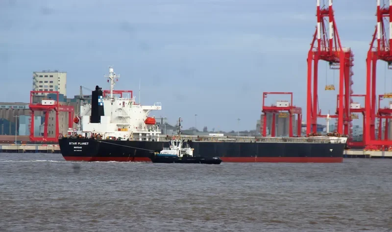 STAR PLANET Bulk Carrier IMO 9316036 photo 2