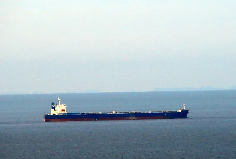 STAR PLANET Bulk Carrier IMO 9316036 photo 5