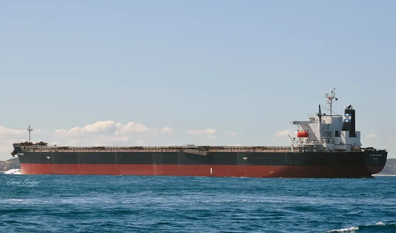 STAR PLANET Bulk Carrier IMO 9316036 photo 7