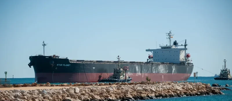 STAR PLANET Bulk Carrier IMO 9316036 photo 10