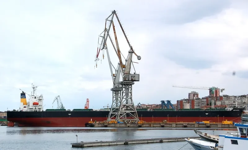 ARIANA Bulk Carrier IMO 9316048 photo 2