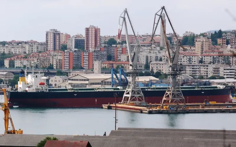 ARIANA Bulk Carrier IMO 9316048 photo 3