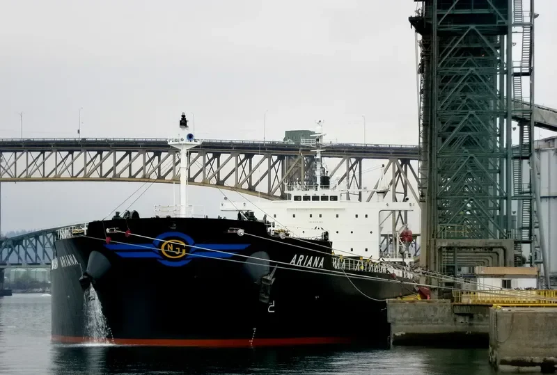 ARIANA Bulk Carrier IMO 9316048 photo 4