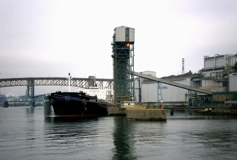 ARIANA Bulk Carrier IMO 9316048 photo 5