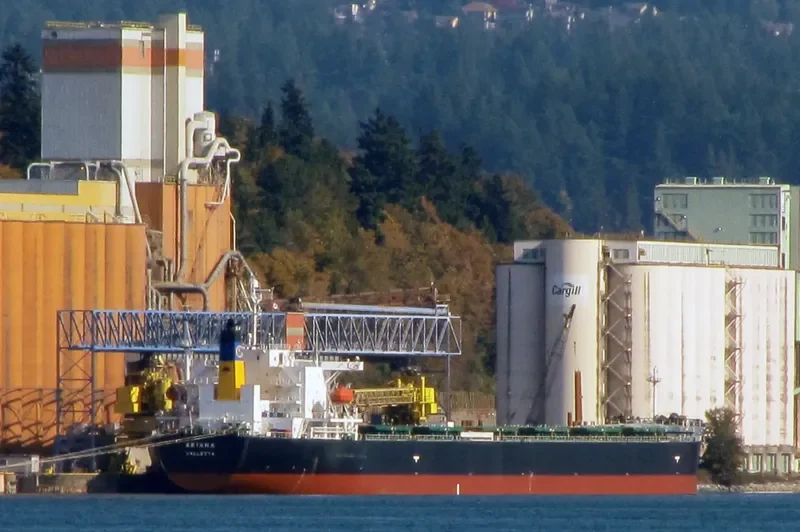 ARIANA Bulk Carrier IMO 9316048 photo 7