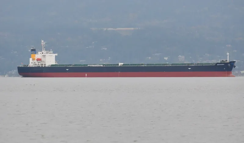 ARIANA Bulk Carrier IMO 9316048 photo 9