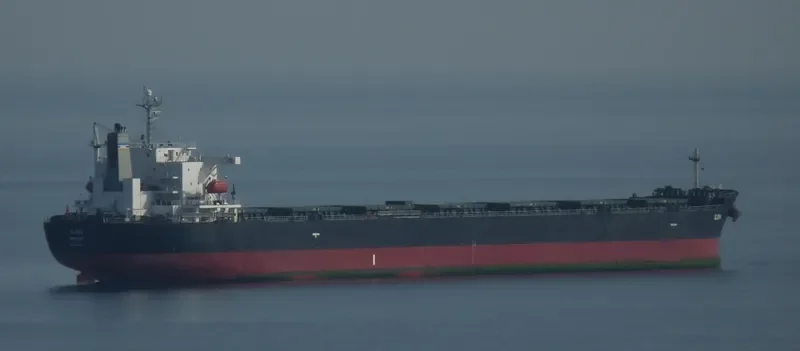 LASKARO S Bulk Carrier IMO 9316050 photo 2